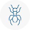 Ant Removals In Crieff