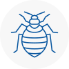 Bed Bug Extermination In Crieff