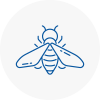 Bee Nest Removal Crieff
