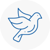 Bird Prevention Crieff