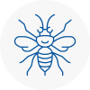 Crieff Hornet Nest Removals