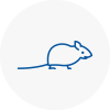 Mice Exterminators In Crieff