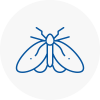 Moth Control Specialists In Crieff