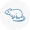 Rat Control Crieff