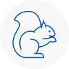 Crieff Rodent Removals