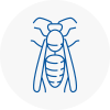 Crieff Wasp Nest Removal